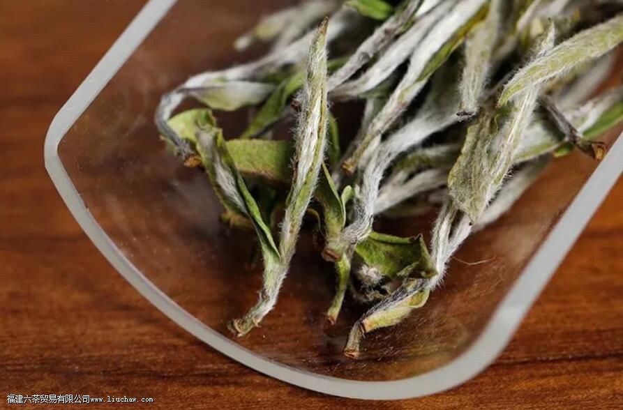 ��ĵ��������ʲô����