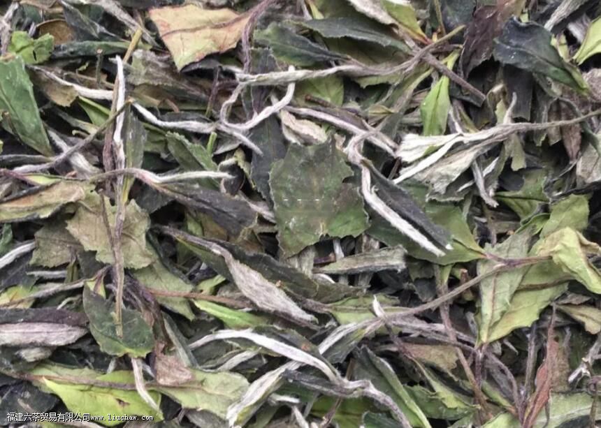 ��ĵ���ĵȼ����ص�