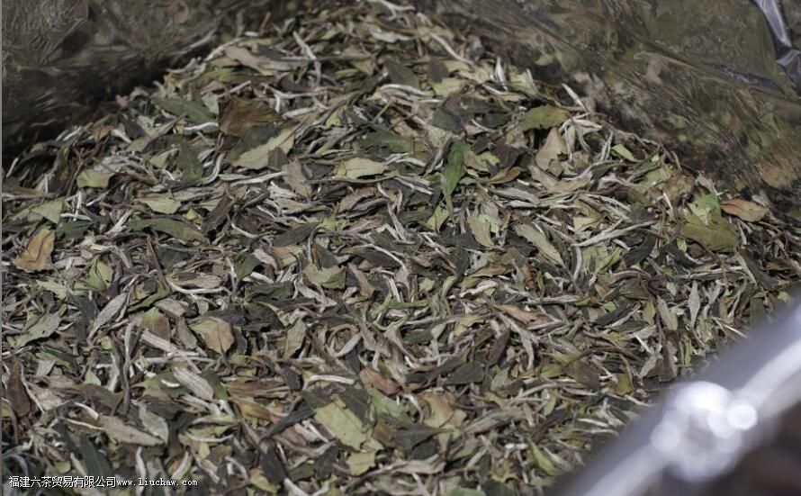 ��ĵ������ʲô��