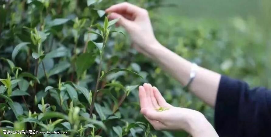 ��ĵ������ʲô��