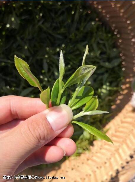 ��ĵ������ʲô��