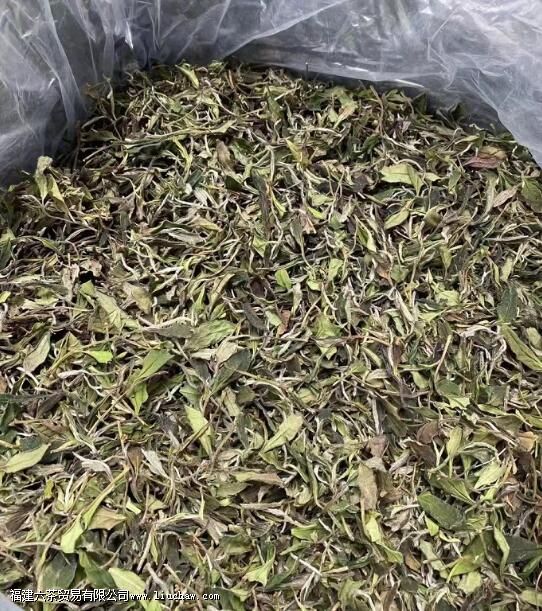 ��ĵ������ʲô��