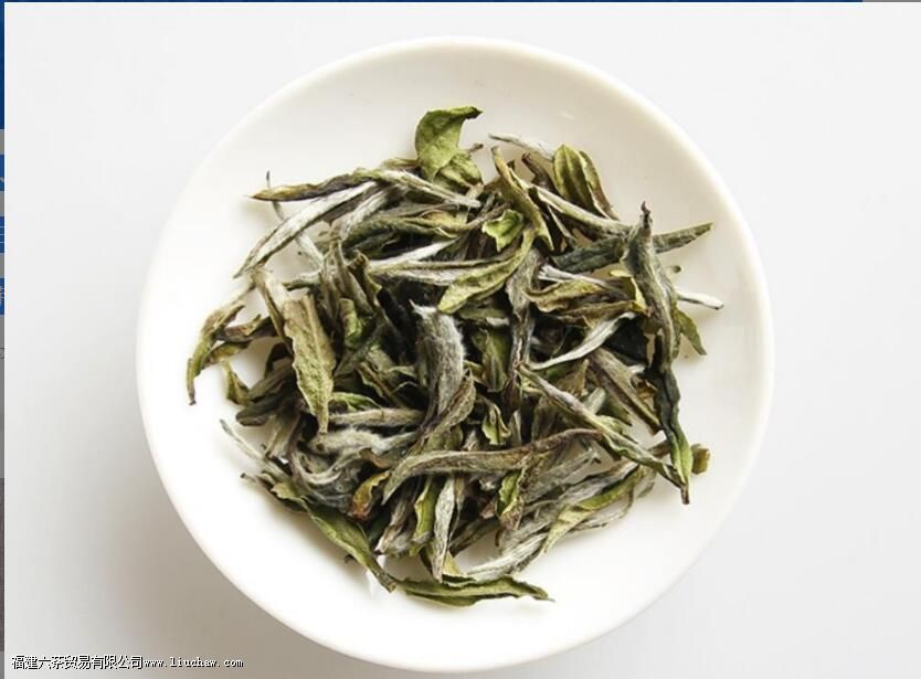 ��ĵ������ʲô��