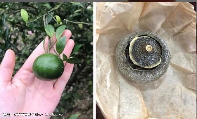 白霜多才是好的小青柑吗 白霜多才是好的小青柑吗