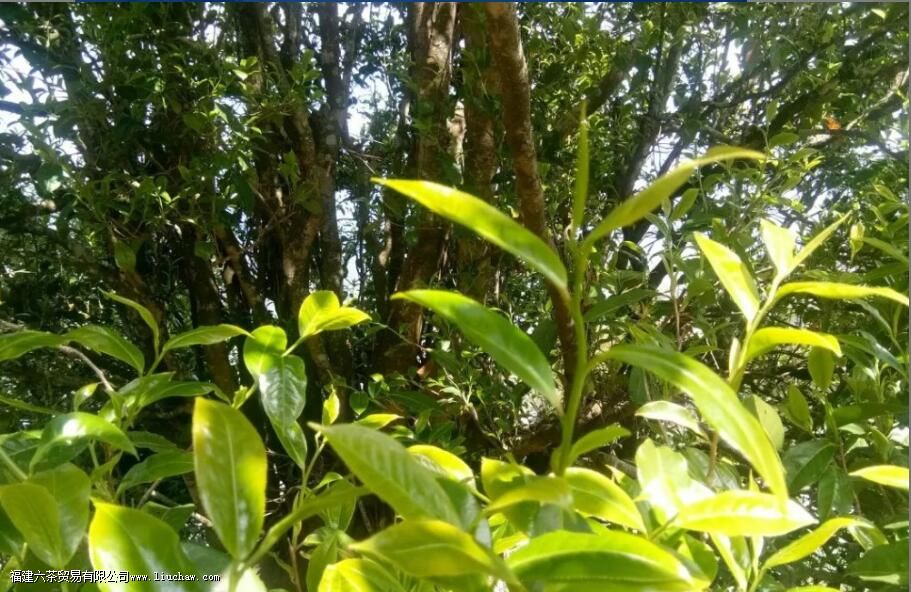 ��ݺɽ�����Ӳ���ص�