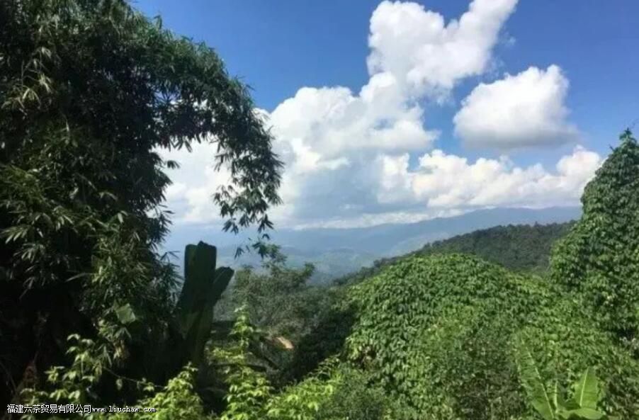 ���²����������