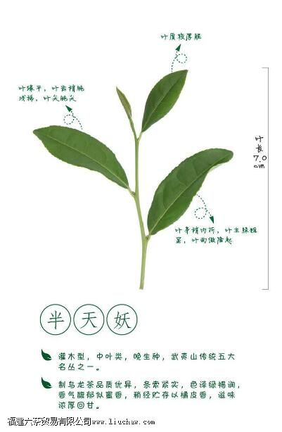 �������Ҳ�Ľ����Լ��ص�