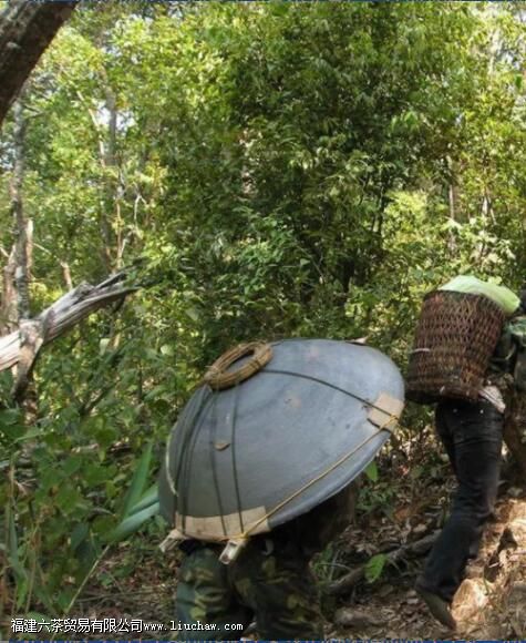 �����ǲ���ص�