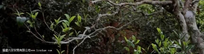 �����ǲ���ص�