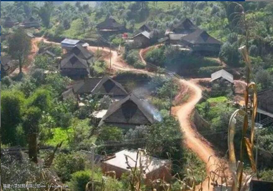 ������կ�ն��������