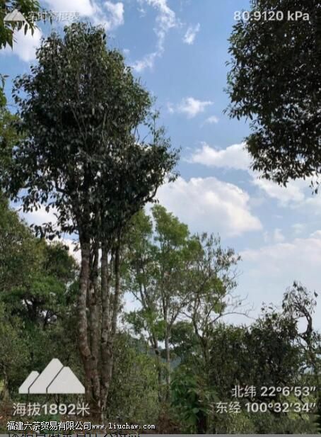 ������կ�ն��������