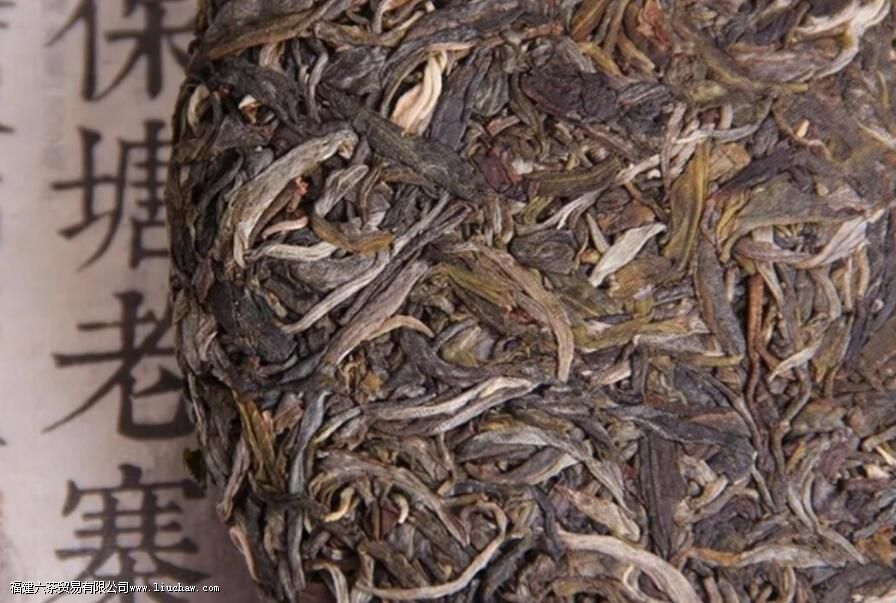 保塘普洱茶有什么特点 保塘普洱茶有什么特点