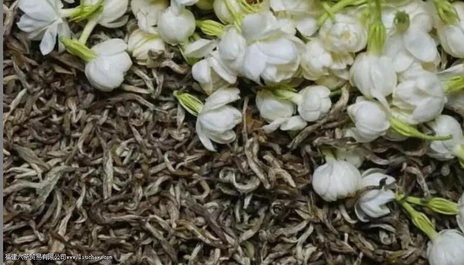 ������ϲ����ʲô��