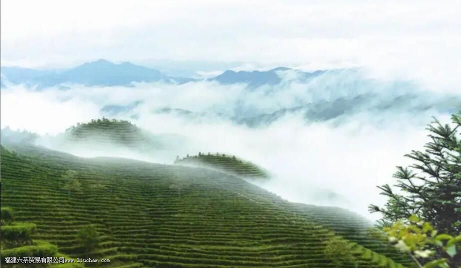 ��ɽ��ʲô��