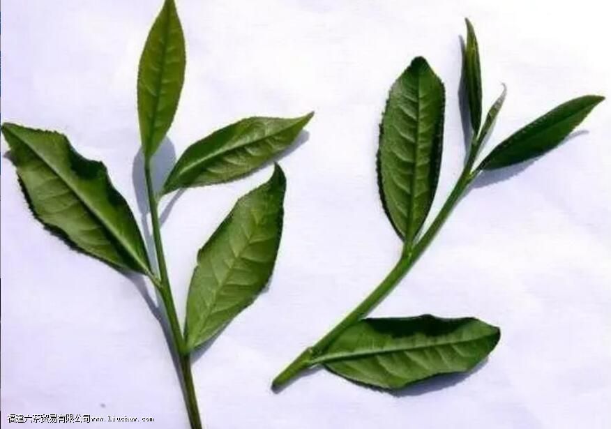 ��ɽ��ʲô��