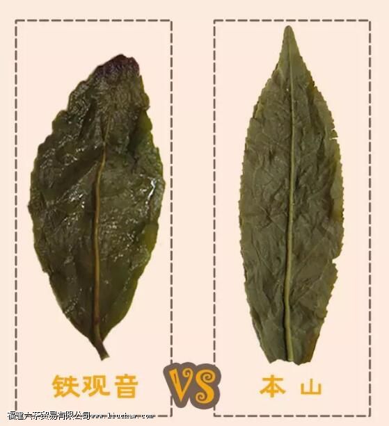 ��ɽ��ʲô��