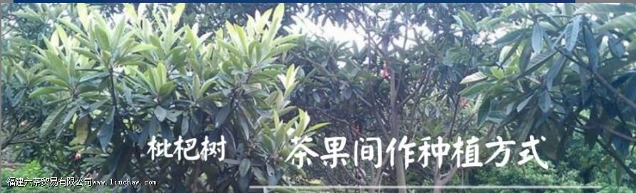 ���ݴ���ĵȼ����ص�