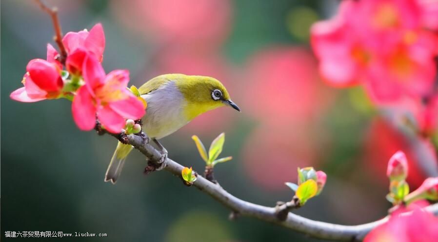 ���ݴ���ĵȼ����ص�