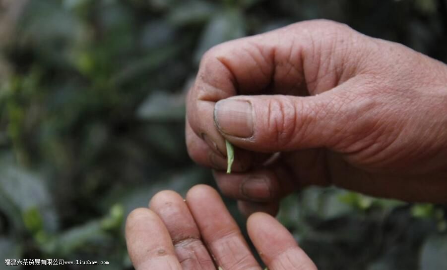 �����ɽС�ֺͽ�ü���������Ϳ��⼸������