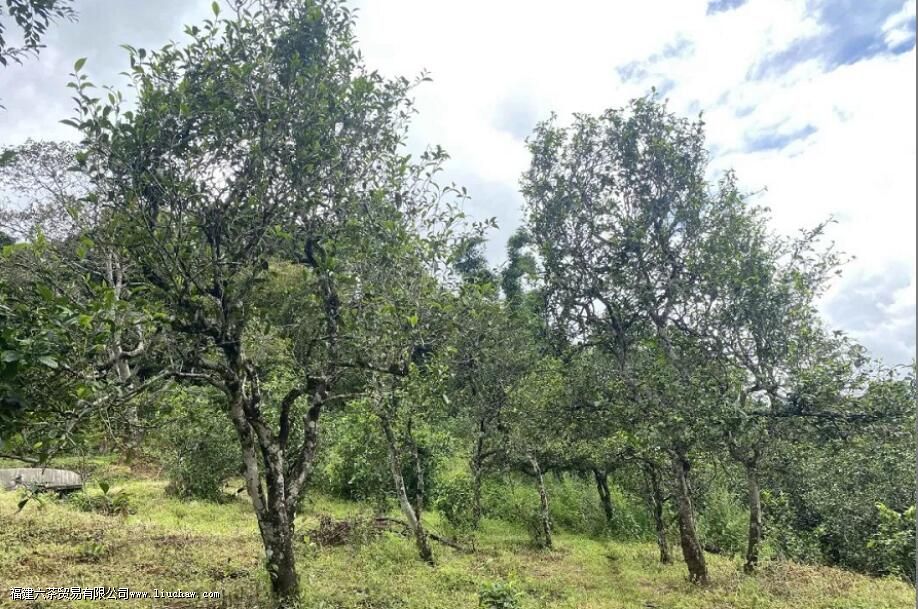 �����ؽ��ն�����ص�