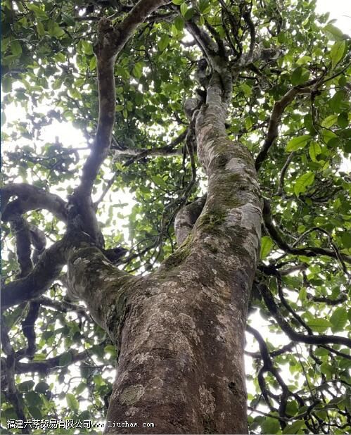 �����ؽ��ն�����ص�