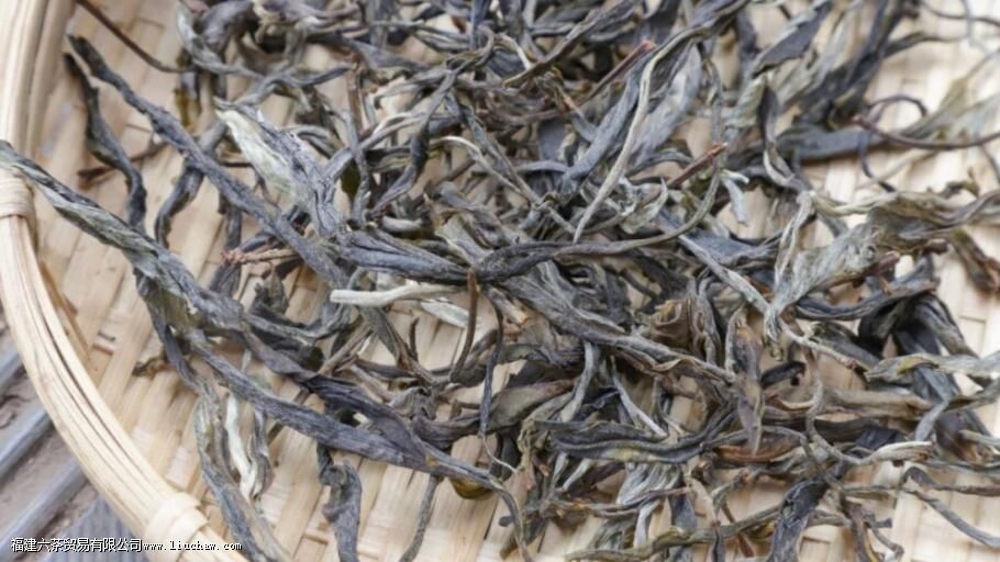 冰岛老寨古树茶的特点 冰岛老寨古树茶的特点