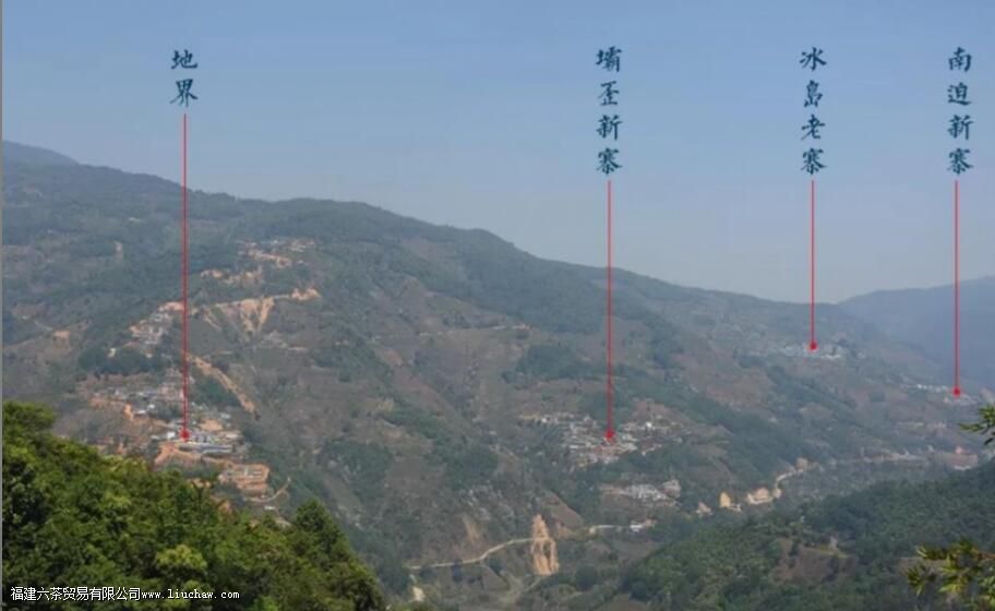 冰岛老寨古树茶的特点 冰岛老寨古树茶的特点