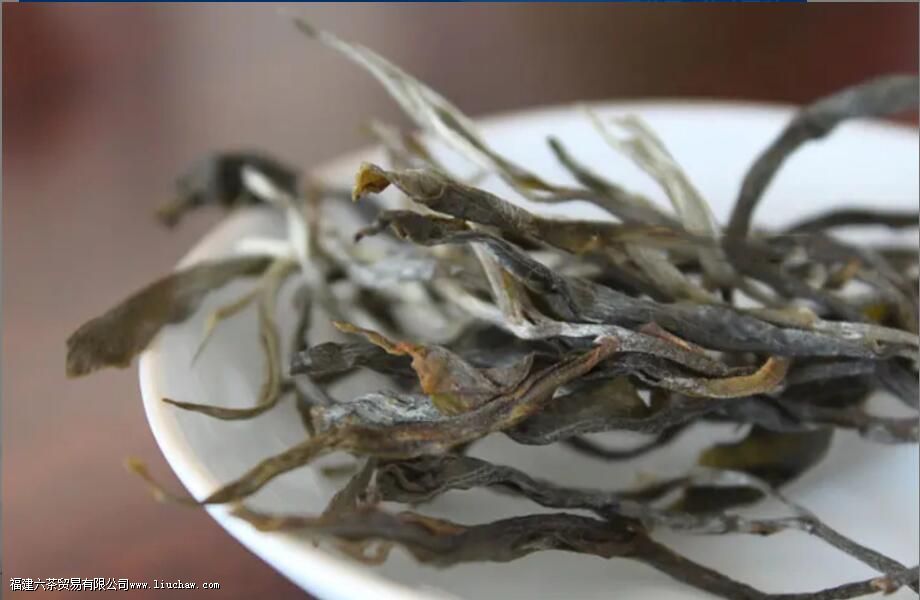 冰岛老寨古树茶的特点 冰岛老寨古树茶的特点