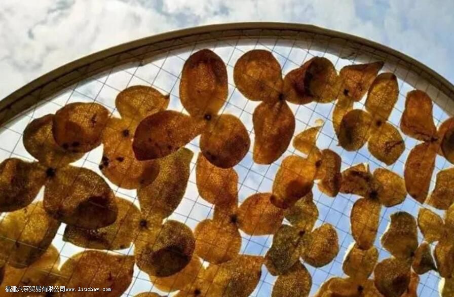 不同年份陈皮的区别 不同年份陈皮的区别