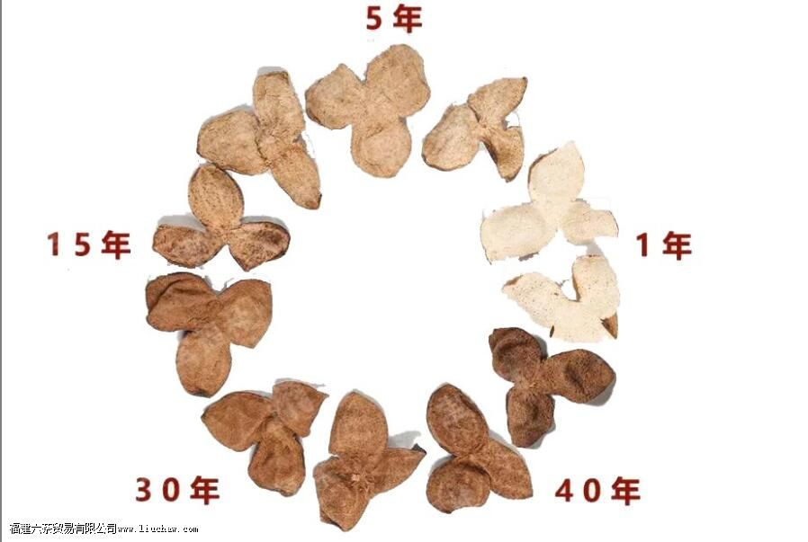 不同年份陈皮的区别 不同年份陈皮的区别