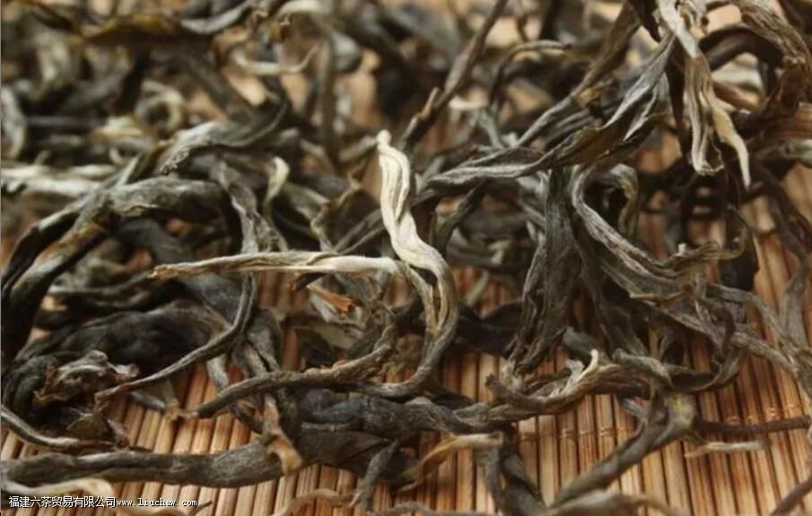 ����ɽ��Ҷ������