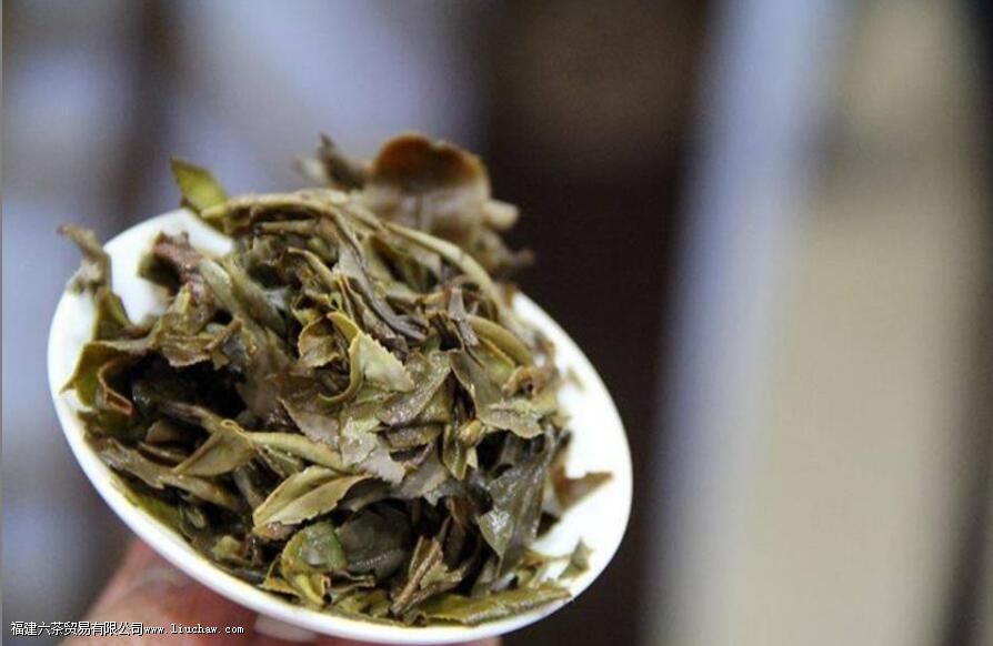 �����ô�����