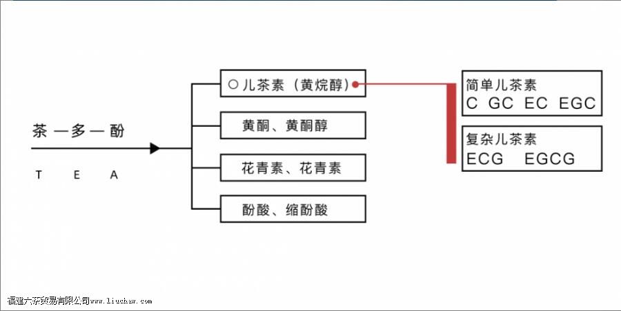 ������ʲô ���Ӷ�����Щ����