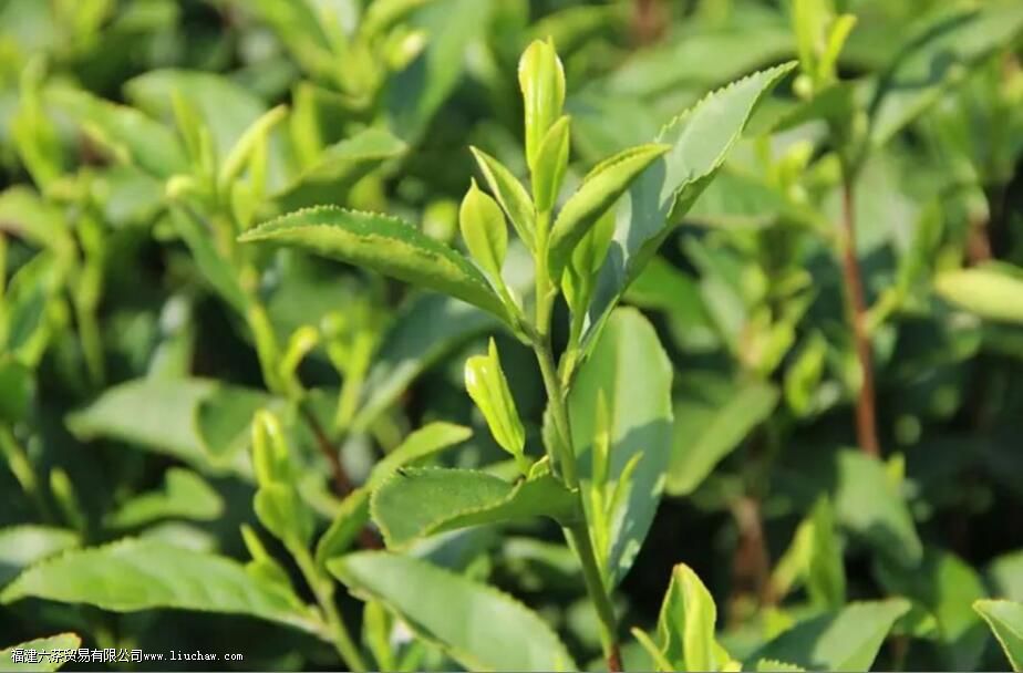 �蹣�����̲��ǲ�������ɵ�