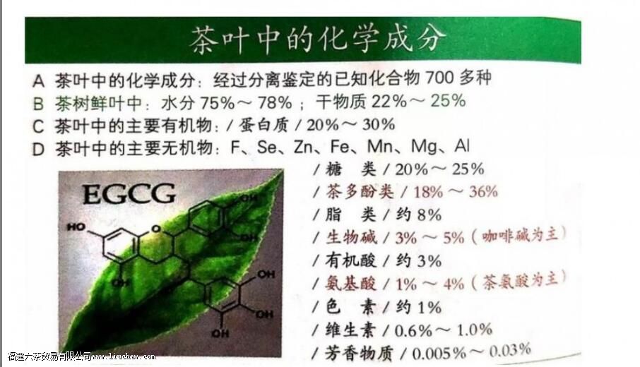 �����涼����ʲô�ɷ�