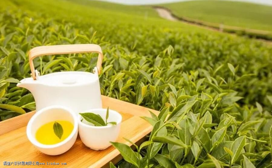 茶叶采摘的时间和季节是几月 茶叶采摘的时间和季节是几月