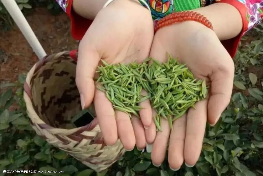 ��Ҷ���ڰ���7حһ�Ĵ�������������裬�Լ���Ҷ������֪ʶ