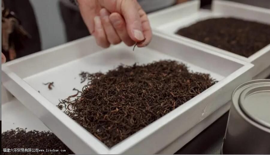 ��Ҷ�ķ��͹��̣����Ǹ��������