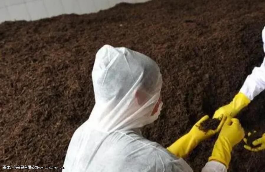 ��Ҷ�ķ��͹��̣����Ǹ��������