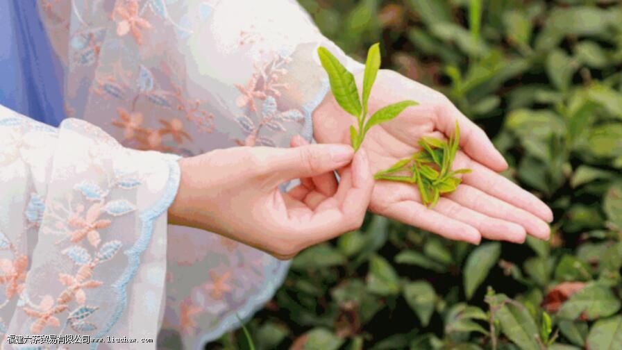 茶叶的耐泡度与什么有关 茶叶的耐泡度与什么有关