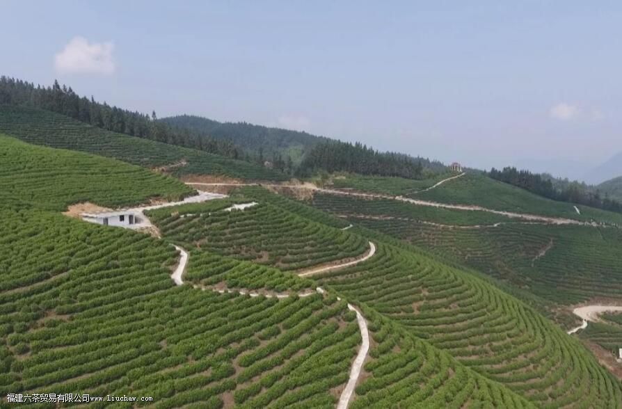 ��Ҷ��ɱ��һ���м��ַ�ʽ