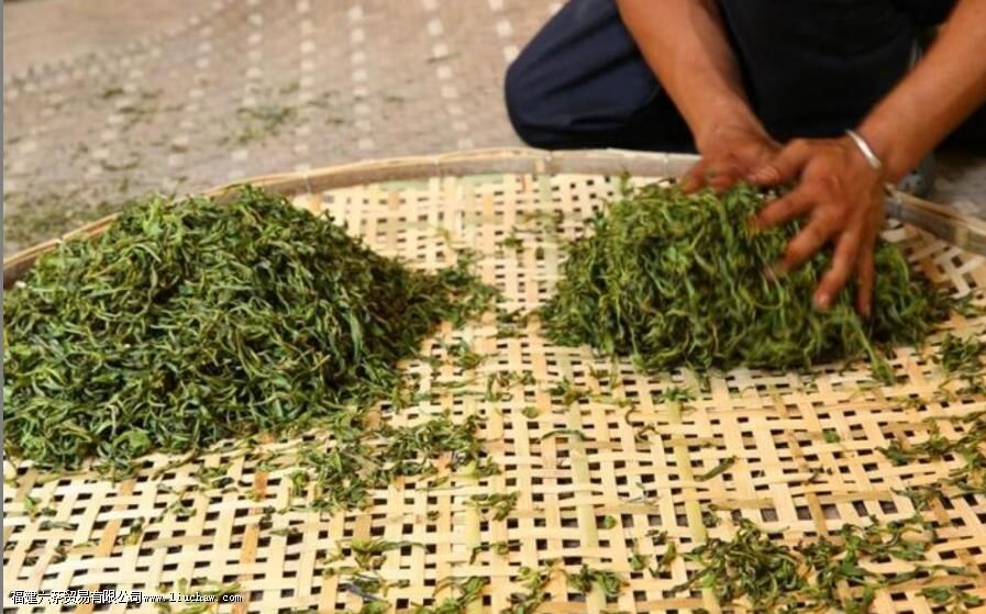 茶叶揉捻是什么意思 茶叶揉捻是什么意思