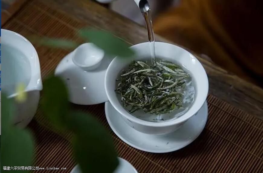 茶叶上的毛毛(茶毫)越多,茶的品质就一定越好 茶叶上的毛毛(茶毫)越多,茶的品质就一定越好