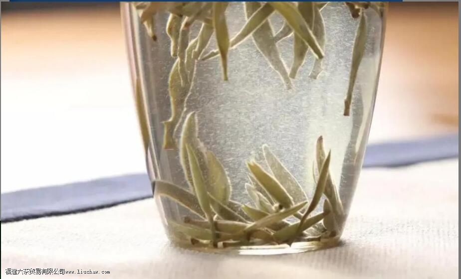 茶叶上的毛毛(茶毫)越多,茶的品质就一定越好 茶叶上的毛毛(茶毫)越多,茶的品质就一定越好