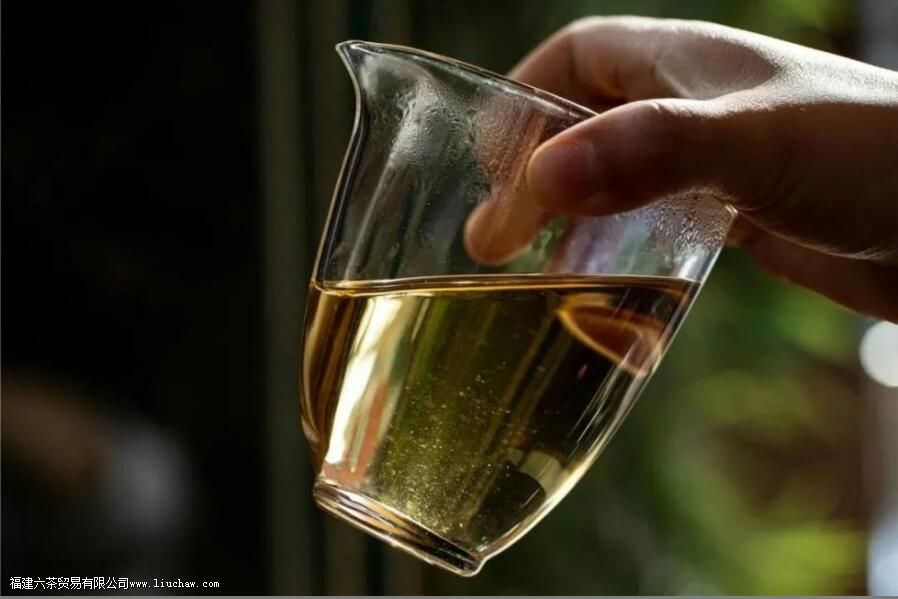 茶叶上的绒毛叫什么 茶叶上的绒毛叫什么