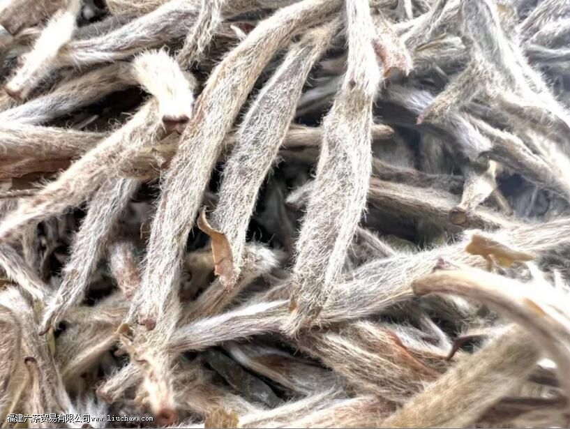 茶叶上的绒毛叫什么 茶叶上的绒毛叫什么