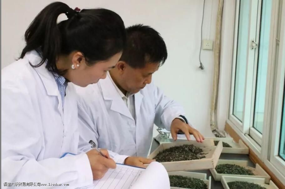 茶叶审评的项目有哪些 茶叶审评的项目有哪些