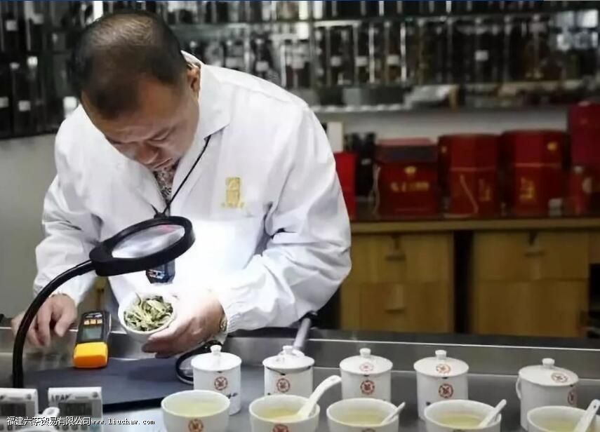 茶叶审评的项目有哪些 茶叶审评的项目有哪些