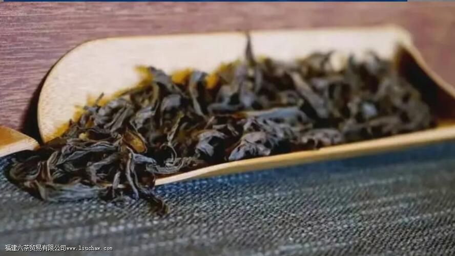 茶叶为什么叫老枞 茶叶为什么叫老枞