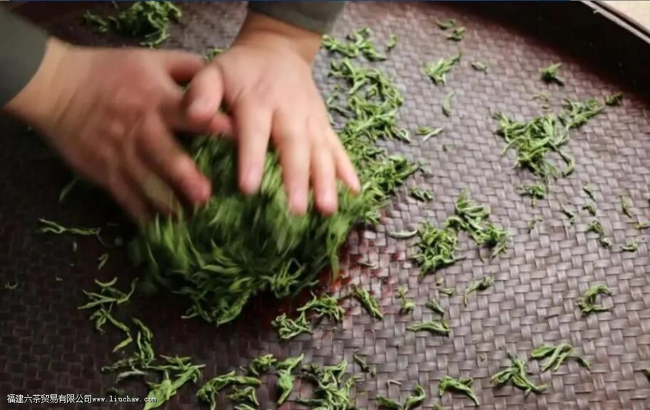 ��ҶΪʲô�е��ϸ��е��³�